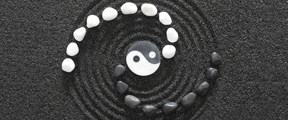 IntegralAdopt a balanced and holistic approach towards personal and community development